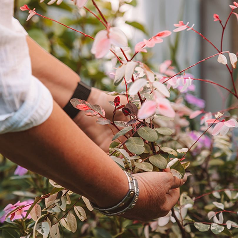 Compassionately Truthful